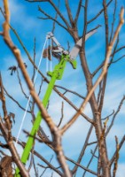 Foarfecă de gradină (secatore) Verto 15G260 imaginea #3 — magazin online Desire.md