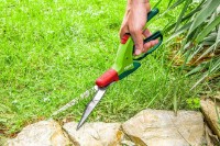 Foarfecă de gradină (secatore) Verto 15G302 imaginea #2 — magazin online Desire.md