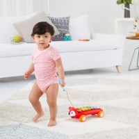 Xilofon Skip Hop Explore & More Fox (303109) imaginea #4 — magazin online Desire.md