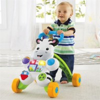 Premergător Fisher-Price (DLD80) imaginea #3 — magazin online Desire.md