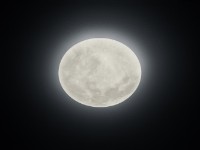 Потолочный светильник Trio Lunar (627514000)