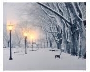 Suvenir Christmas 38437 imaginea #3 — magazin online Desire.md