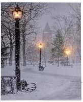 Suvenir Christmas 38437