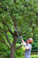 Высоторез Ryobi RXPR01  фото №2 — интернет-магазин Desire.md