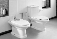 Capac de toaletă Roca America (A801492000) imaginea #2 — magazin online Desire.md