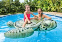 Plută de înot Intex 57555. imaginea #2 — magazin online Desire.md