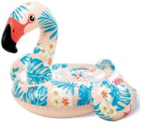 Plută de înot Intex 57559NP imaginea #2 — magazin online Desire.md