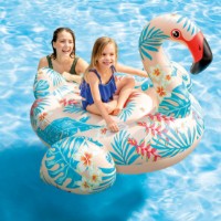 Plută de înot Intex 57559NP imaginea #3 — magazin online Desire.md