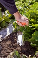 Посадочный конус Stocker 2027 фото №2 — интернет-магазин Desire.md