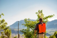 Опрыскиватель Stocker 243 (12L) фото №2 — интернет-магазин Desire.md