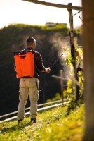 Опрыскиватель Stocker 248 (16L) фото №2 — интернет-магазин Desire.md