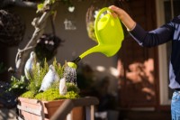 Stropitoare Stocker 271 imaginea #3 — magazin online Desire.md