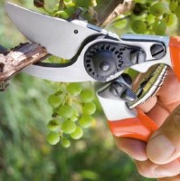 Ножницы садовые (секаторы) Stocker 342 фото №2 — интернет-магазин Desire.md