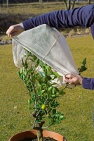 Садовый защитный мешок Stocker 4758 фото №3 — интернет-магазин Desire.md