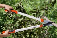 Foarfecă de gradină (secatore) Stocker 7236 imaginea #2 — magazin online Desire.md