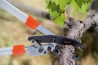 Foarfecă de gradină (secatore) Stocker 7242  imaginea #2 — magazin online Desire.md