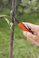 Садовый нож Stocker 785 фото №2 — интернет-магазин Desire.md