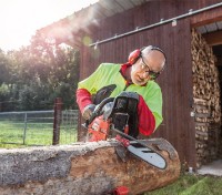 Ferăstrău cu lanţ pe benzină AL-KO BKS 4040 (113334) imaginea #4 — magazin online Desire.md