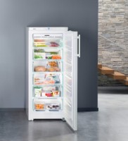 Морозильник Liebherr GNP 2313 фото №3 — интернет-магазин Desire.md