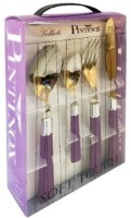 Набор столовых приборов Pinti Velvet Violet