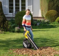 Aspirator-suflător de frunze Karcher BLV 18-200 (1.444-100.0) imaginea #2 — magazin online Desire.md