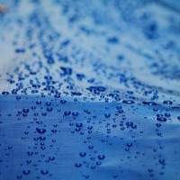 Prelată Greentech 80gr (10x15) Blue imaginea #2 — magazin online Desire.md