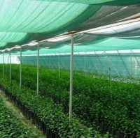 Plasa pentru umbra Greentech U60 (3x100) imaginea #2 — magazin online Desire.md