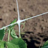 Plasă Tenax Hortonova (2.04x1000) imaginea #2 — magazin online Desire.md