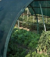 Затеняющая сетка Tenax Soleado HG (4x100) фото №3 — интернет-магазин Desire.md