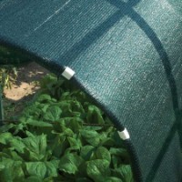 Plasa pentru umbra Tenax Soleado PRO 90 (2x100) imaginea #3 — magazin online Desire.md