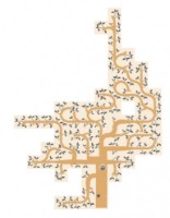 Joc educativ de masa Londji Dream a Tree (FG011) imaginea #2 — magazin online Desire.md