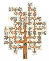 Joc educativ de masa Londji Dream a Tree (FG011) imaginea #4 — magazin online Desire.md