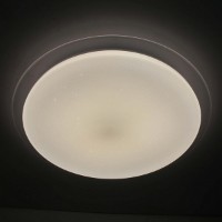 Потолочный светильник Flitz Leuchten Nuble (FL409-D45)