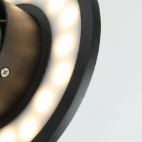 Candelabru de perete Lampardi Wallon LP590-6W imaginea #2 — magazin online Desire.md