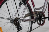 Bicicletă Fulger Street 1.0 26 imaginea #2 — magazin online Desire.md