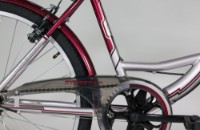 Bicicletă Fulger Street 1.0 26 imaginea #3 — magazin online Desire.md