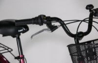 Bicicletă Fulger Street 1.0 26 imaginea #5 — magazin online Desire.md