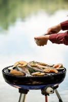 Гриль Cadac Carri Chef 2 BBQ 30mb фото №5 — интернет-магазин Desire.md