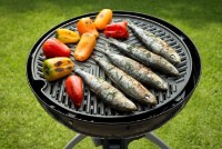 Гриль Cadac Grillo Chef 2 BBQ Dome 30mb фото №5 — интернет-магазин Desire.md