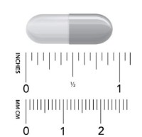 Aminoacizi NOW Gaba 500mg 100cap imaginea #3 — magazin online Desire.md