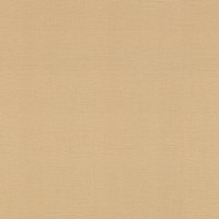 Обои Rasch 531367 Most Fabulous фото №1 — интернет-магазин Desire.md