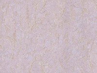 Tapete Zambaiti Parati 3405 Trussardi 3