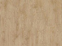 Tapete Zambaiti Parati 3423 Trussardi 3