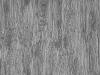 Tapete Zambaiti Parati 3428 Trussardi 3 imaginea #1 — magazin online Desire.md