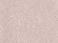 Tapete Zambaiti Parati 3446 Trussardi 3