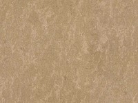 Tapete Zambaiti Parati 3452 Trussardi 3 imaginea #1 — magazin online Desire.md