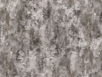 Tapete Zambaiti Parati 3463 Trussardi 3