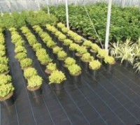 Agrofibre Greentech 90gsm (2x100) imaginea #2 — magazin online Desire.md