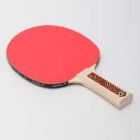 Ракетка для настольного тенниса Donic Champs 300 (705132) фото №3 — интернет-магазин Desire.md