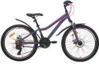 Bicicletă Aist Rosy Junior 2.1 Grey/Pink imaginea #1 — magazin online Desire.md